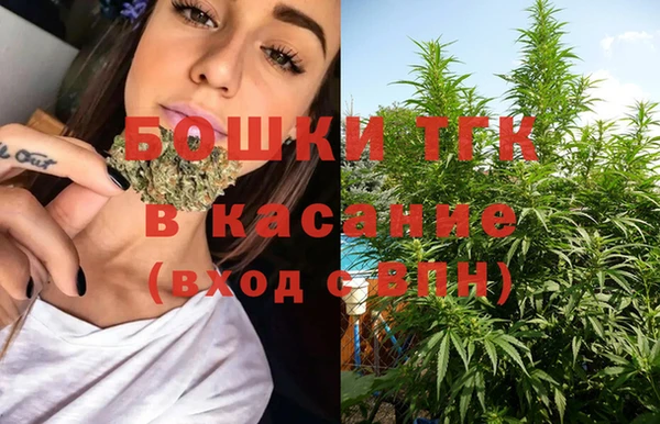 гидропоника Вяземский