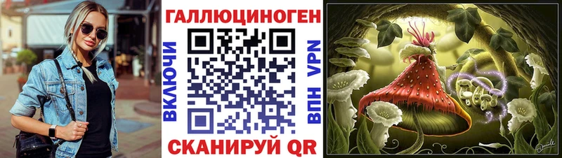 Псилоцибиновые грибы Cubensis  Приволжск 